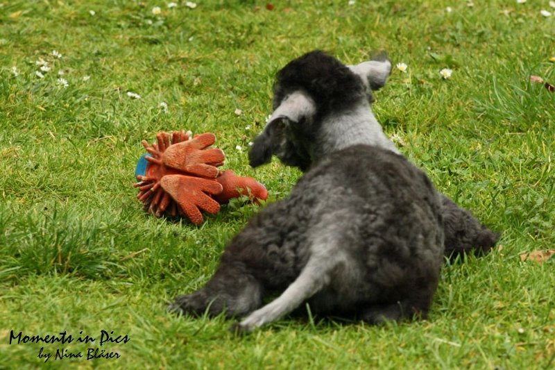 Antares 2009-07-12 (31).JPG